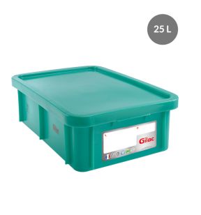 Bak With cover groen plastic xx19 25 L vaste bodem volle wanden Gilac