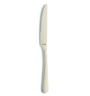 Couteau à dessert or 21 cm Austin Pvd Champagne Amefa