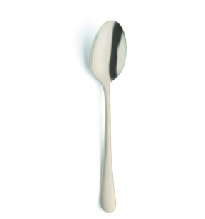 Cuillère de table or inox 18/0 20,5x4,2 cm Austin Pvd Champagne Amefa