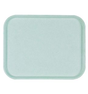 Plateau polyester bleu 41x30 cm Poly One Platex