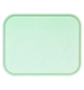Plateau polyester vert 46x36 cm Poly One Platex
