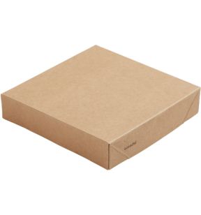 Deksel voor doos 120 cl rechthoekig xx2.9 Viking Duni (300 eenheden)