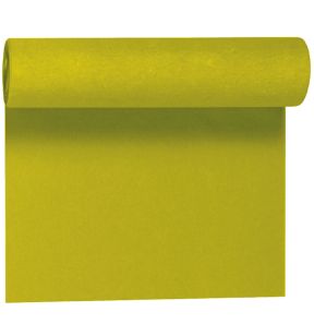 Set de table kiwi papier 45x35 cm Duni (250 pièces)