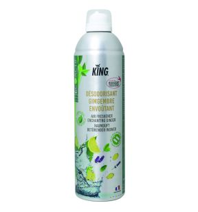 Désodorisant gingembre envoutant 400 ml