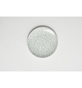 Assiette coupe plate rond vert porcelaine vitrifiée Ø 22 cm Botanic Astera