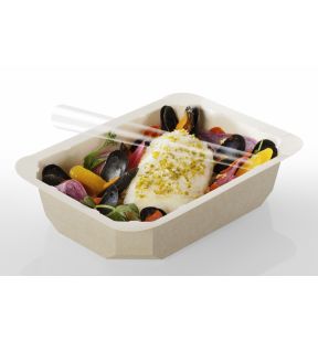 Barquette rectangulaire beige 19,2x13,7x5,7 cm 100 cl Barquettes Food Alphaform (65 pièces)