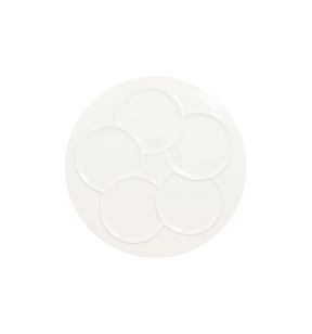 Assiette plate rond blanc porcelaine vitrifiée Ø 29,9 cm Create Rak