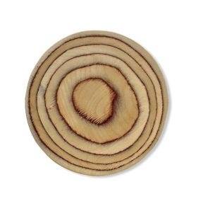 Plank rond birch berk Ø 15 cm De La Roca