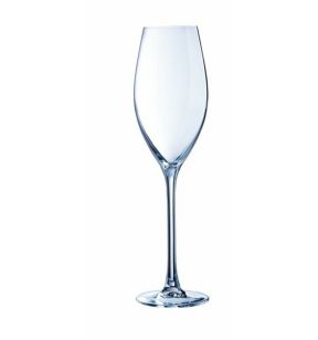 Flûte verre cristallin 24 cl Wine Emotion Cristal D'arques