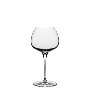 Verre à pied verre cristallin 35 cl Super Luigi Bormioli