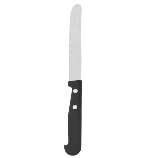 Couteaux à steak 20,9 cm Essentials Collection (24 pièces)
