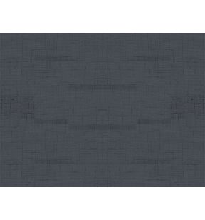 Set de table noir silicone 45x30 cm Duni (30 pièces)
