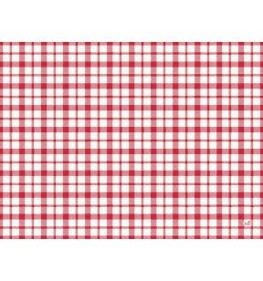 Set de table rouge papier 30x40 cm Giovanni Duni (250 pièces)