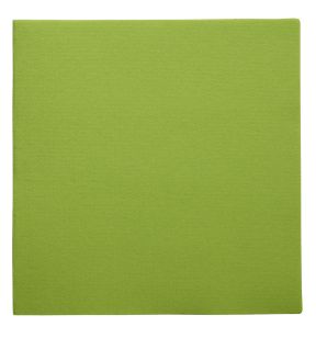 Serviette vert granny ouate de cellulose 38x38 cm Lisah Pro.mundi (50 pièces)
