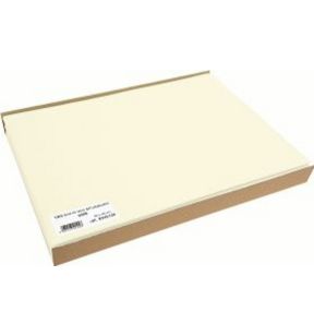 Set de table ivoire plastique 30x40 cm (100 pièces)