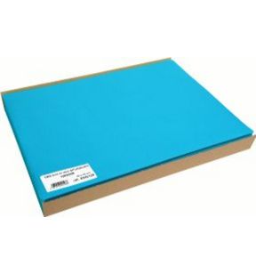 Set de table turquoise plastique 30x40 cm (100 pièces)