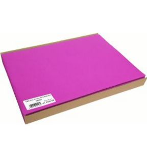 Placemat HORTENSIA plastic x40 (100 eenheden)