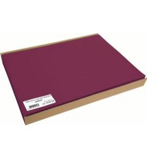 Set de table bordeaux plastique 30x40 cm (100 pièces)
