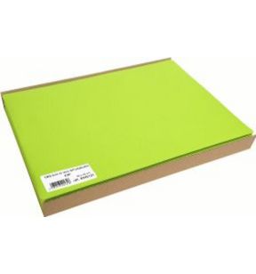 Set de table kiwi plastique 30x40 cm (100 pièces)
