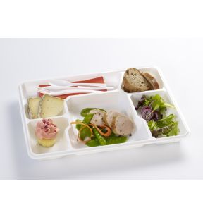 Plateau repas 6 compartiments rectangulaire blanc plastique 37x27,1x3,4 cm (25 pièces)