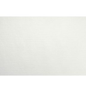 Set de table blanc non tissé 30x43 cm Evolin Duni (70 pièces)