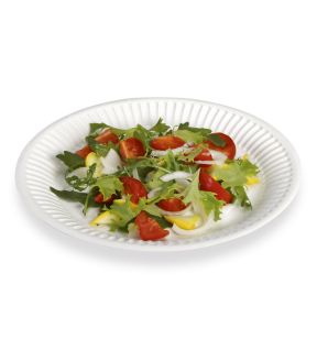 Assiette carton blanc Ø 17,5 cm Alphaform (100 pièces)