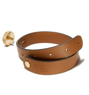 Riem voor lantaarnpaal 500 mm Paranocta
