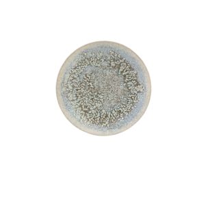 Assiette coupe plate rond gris grès émaillé Ø 21 cm Tropic Accolade