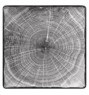 Assiette plate carré gris porcelaine vitrifiée 30,5x30,5 cm Woodart Rak
