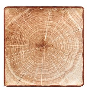 Assiette plate carré brun porcelaine vitrifiée 30,5x30,5 cm Woodart Rak