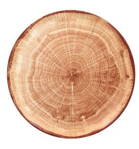 Assiette coupe plate rond timber porcelaine vitrifiée Ø 26,7 cm Woodart Rak