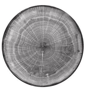 Plat bord met rand rond beukenhout verglaasd Ø 26.7 Woodart Rak