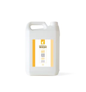 Ultra-ontvettend handafwasmiddel 5 L Essential Wash Kleaning Essentials