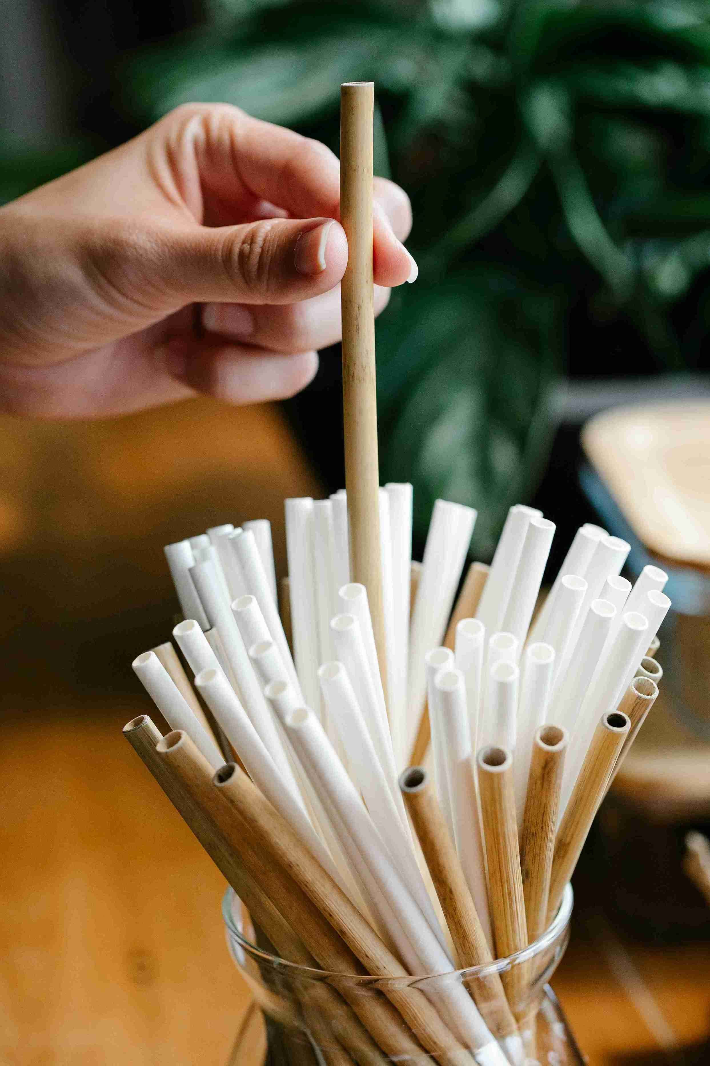 Paille biodégradable